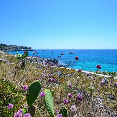 Punta Correnti Seaview Apartments, Castro Marina 4* 카스트로
